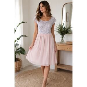 Womens Pink Chiffon Fit Flare Dress Size 9 Romantic Cottagecore Midi Back Zip